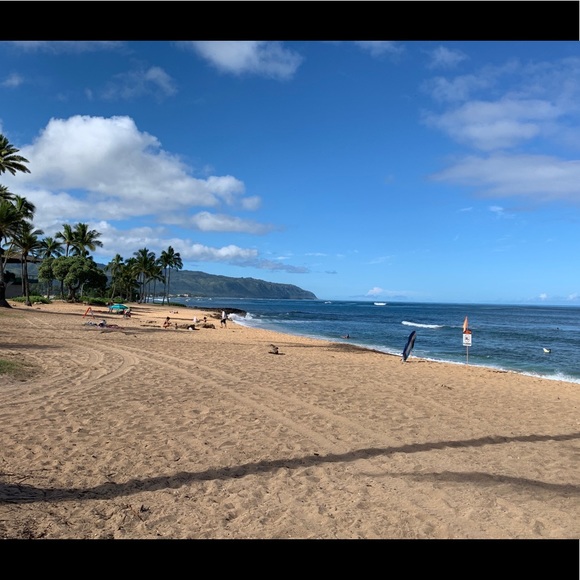 Meet your Posher, Shayla - Picture 8 of 16